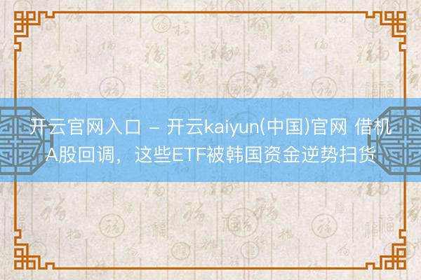 开云官网入口 - 开云kaiyun(中国)官网 借机A股回调,这些ETF被韩国资金逆势扫货